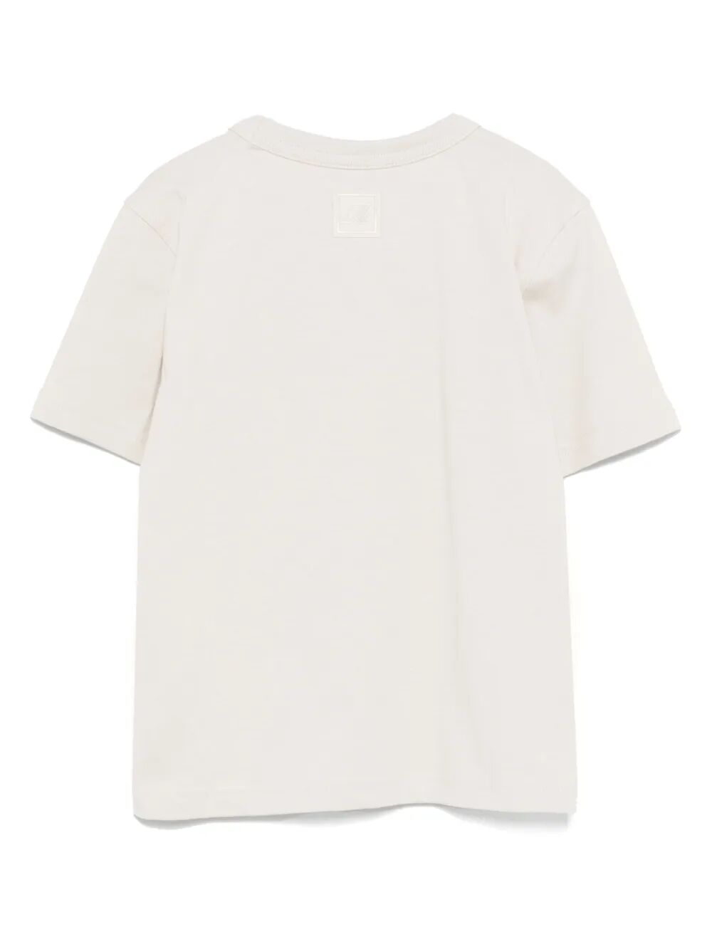 P. FANTON POCKET