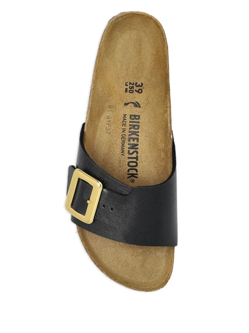 CATALINA CB GRACEFUL