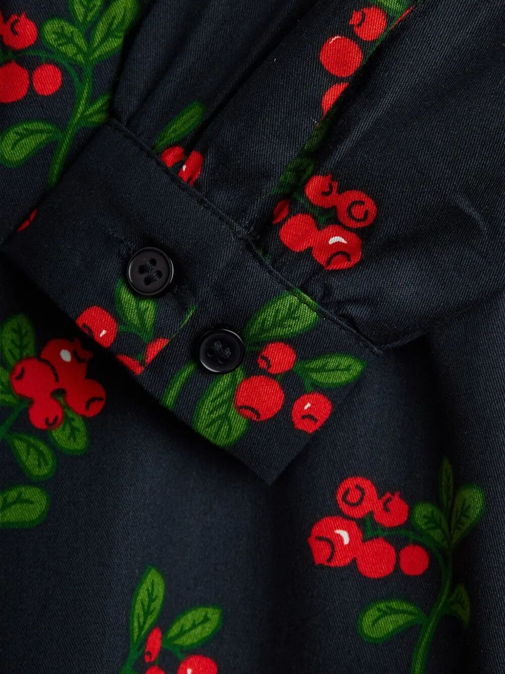 LINGONBERRIES AOP WOVEN LS DRESS